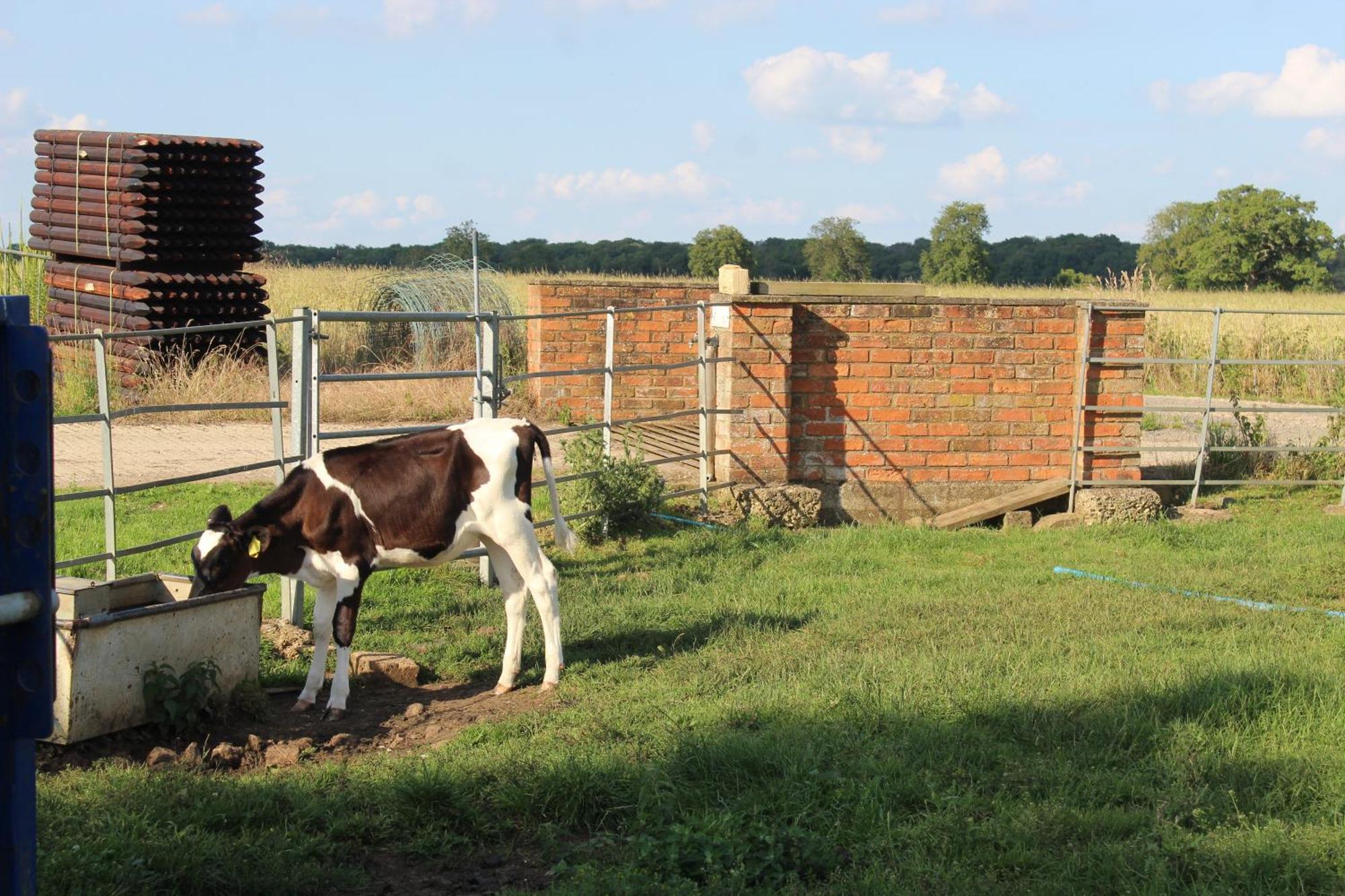 Parkfields Barns Self Catering Accommodation Buckingham Exteriér fotografie