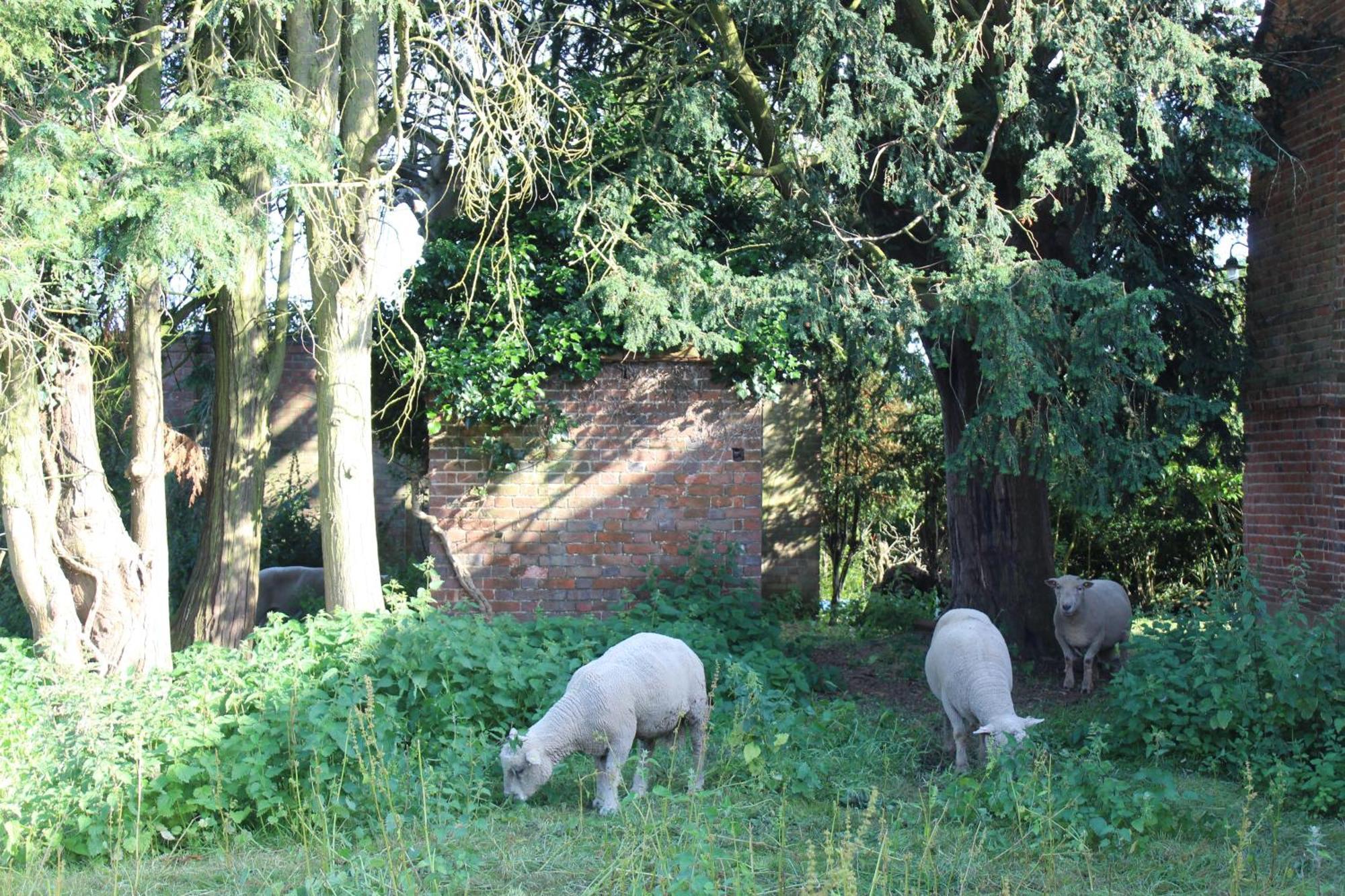 Parkfields Barns Self Catering Accommodation Buckingham Exteriér fotografie