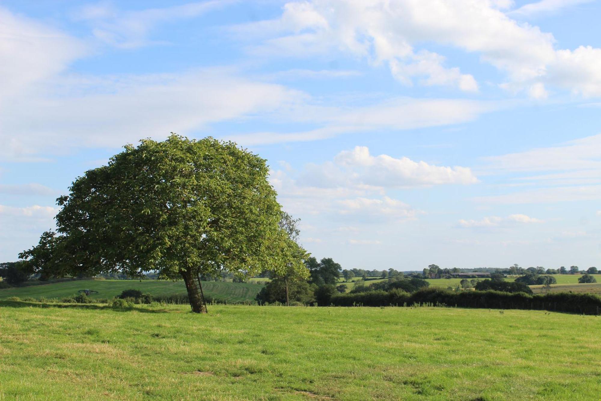 Parkfields Barns Self Catering Accommodation Buckingham Exteriér fotografie
