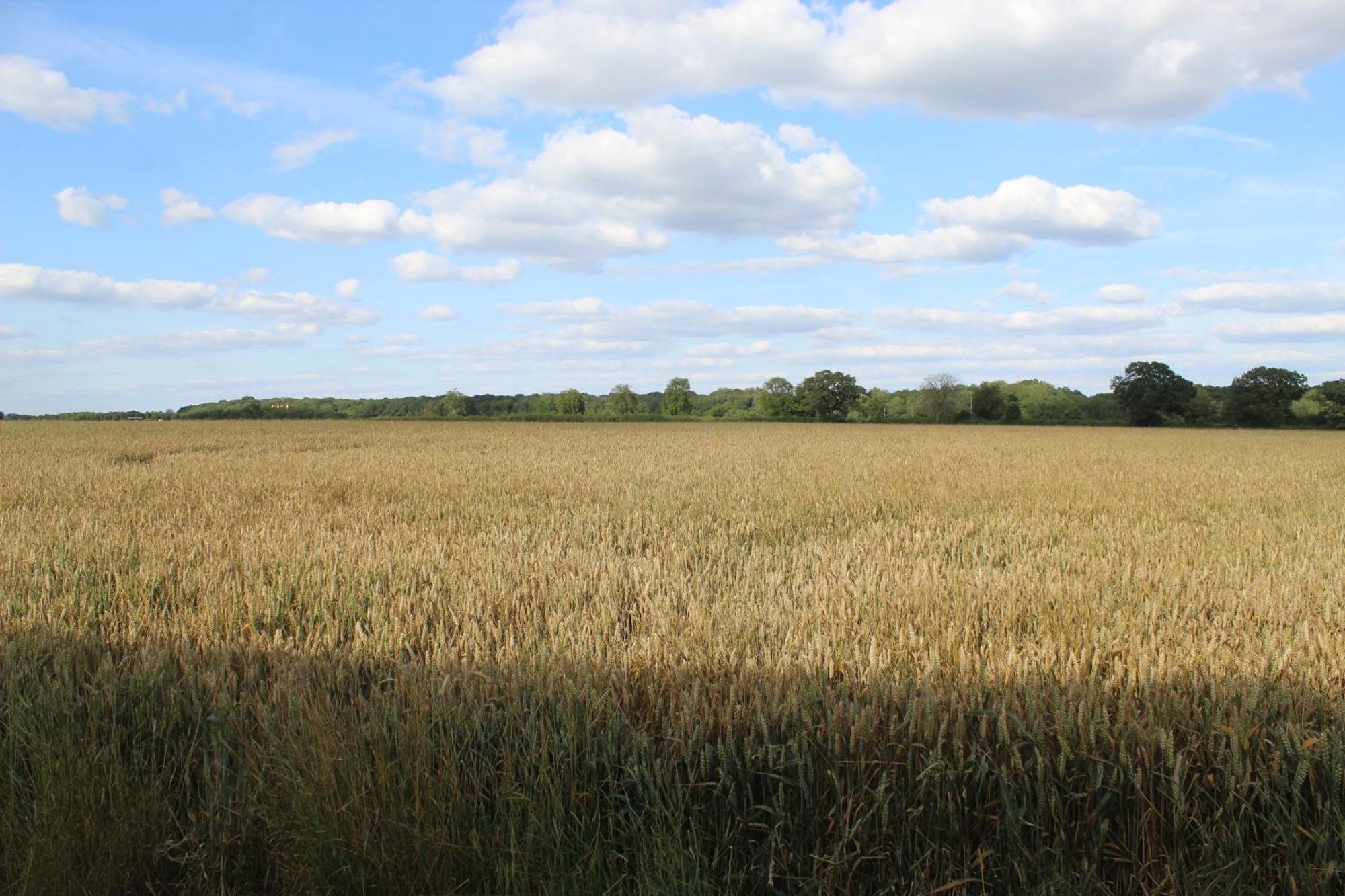 Parkfields Barns Self Catering Accommodation Buckingham Exteriér fotografie