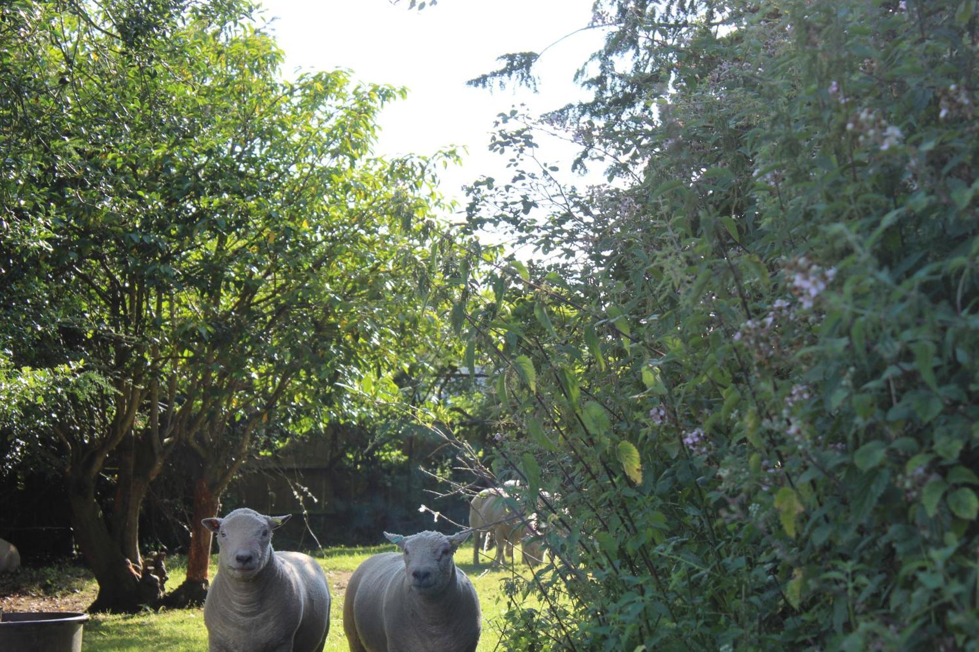 Parkfields Barns Self Catering Accommodation Buckingham Exteriér fotografie