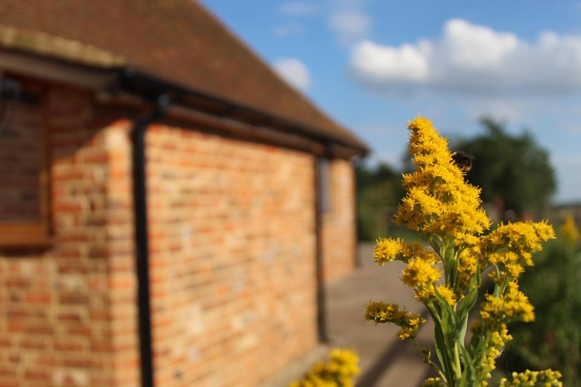Parkfields Barns Self Catering Accommodation Buckingham Exteriér fotografie