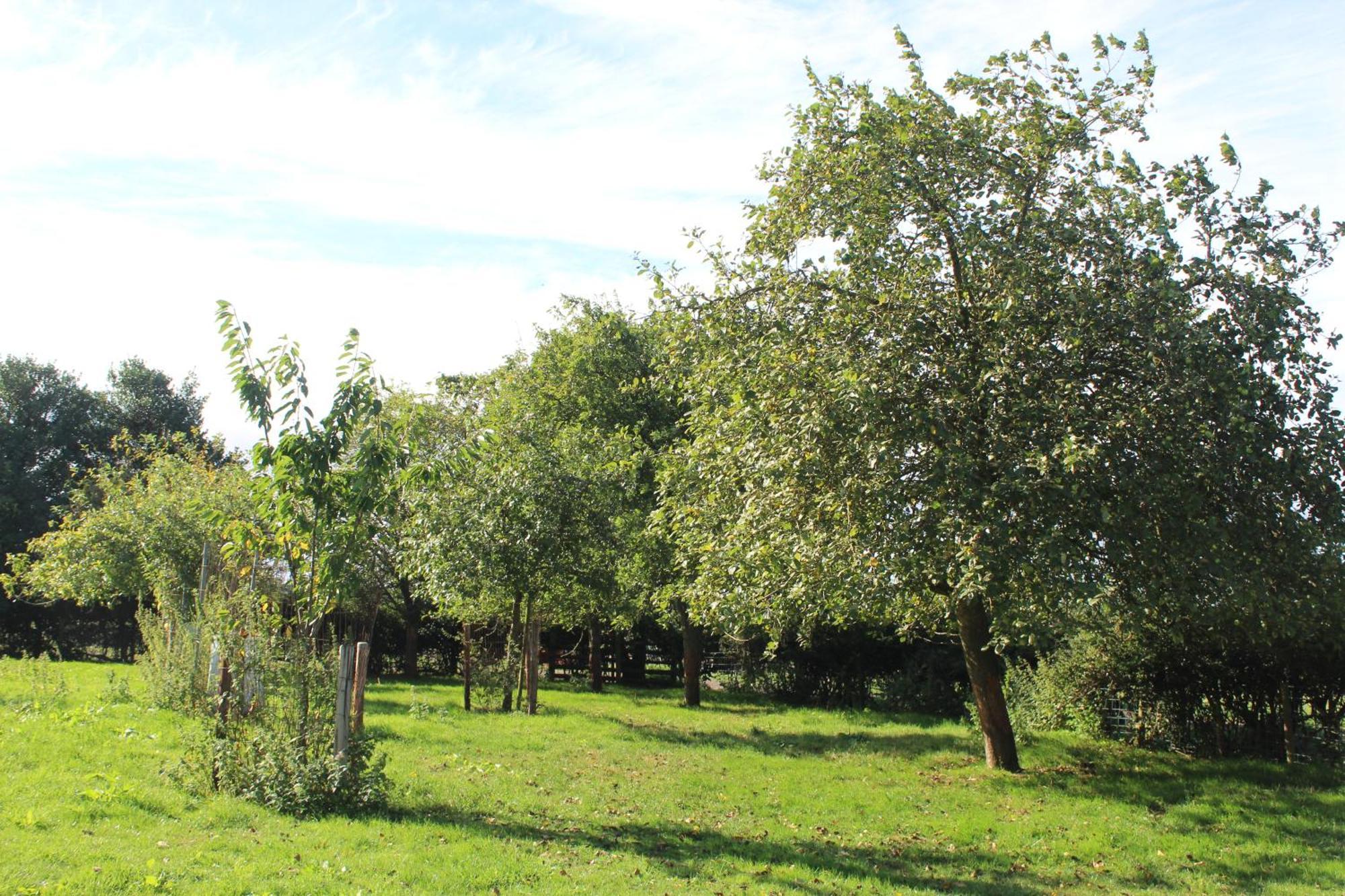 Parkfields Barns Self Catering Accommodation Buckingham Exteriér fotografie